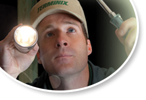 Residential Pest Control Services